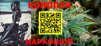 сатива Кулебаки