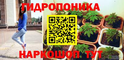 мяу мяу мука Кунгур