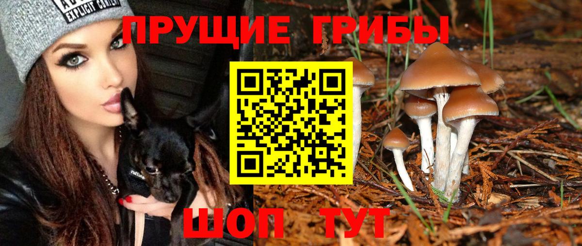Карпинск  Псилоцибиновые грибы Magic Shrooms  Вход с VPN  Псилоцибиновые грибы Cubensis 